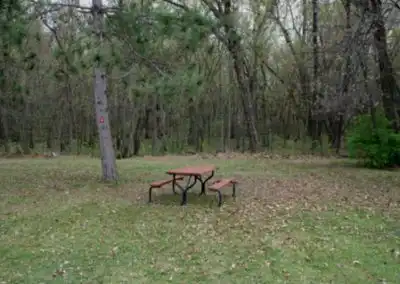 Tent Site #404