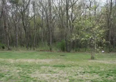 Tent Site #411